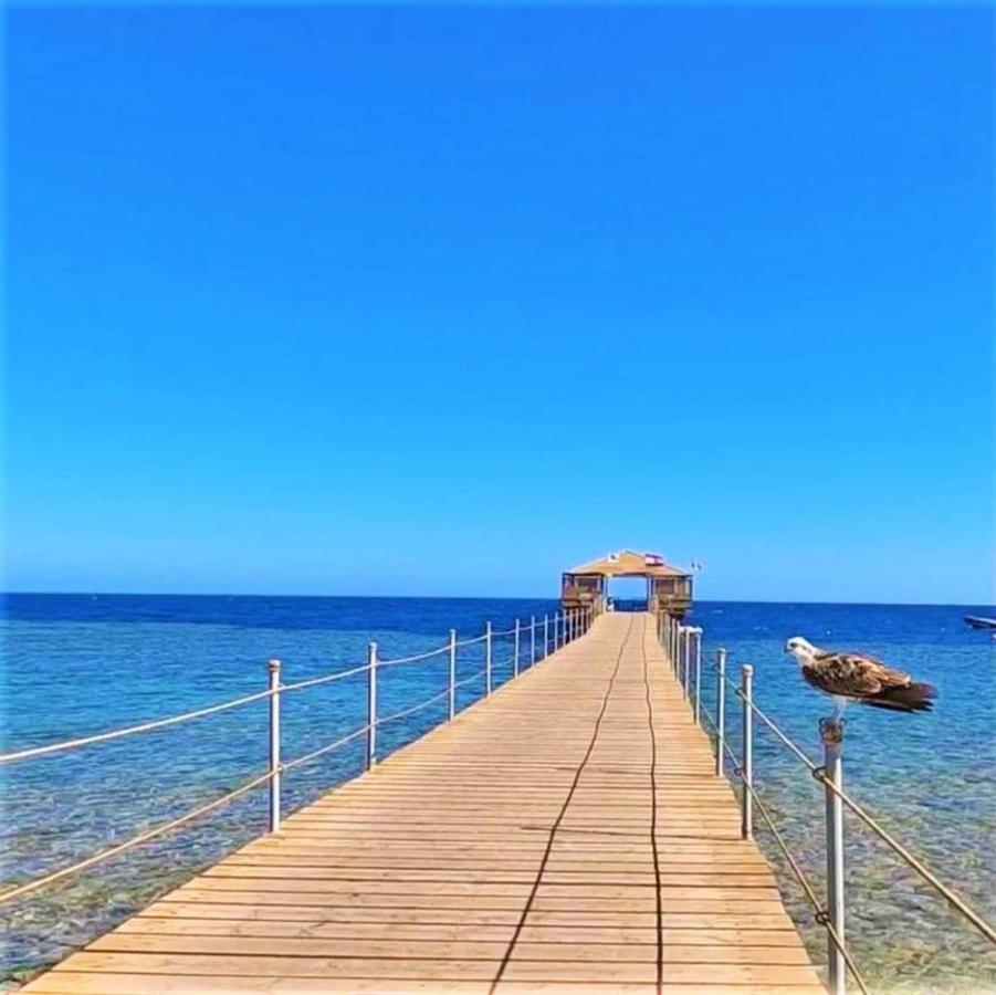 Rohanou Beach Resort El Qoseir Extérieur photo